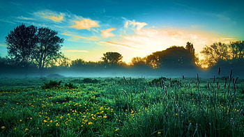 English Meadow in May Bedfordshire, landscape, clouds, trees, sky, misty, sunset HD wallpaper