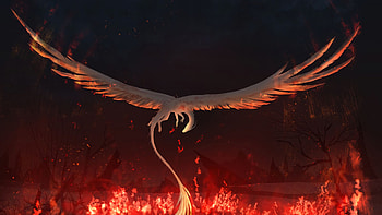 Dragon Fantasy Fire , dragon, fantasy, artist, artwork, digital-art, deviantart HD wallpaper