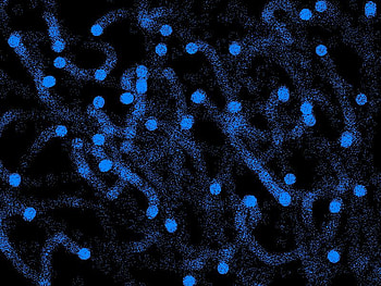 Blue Dots, blue, black, abstract, art, dots HD wallpaper