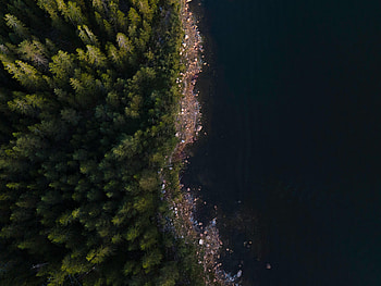 Nature, Trees, View From Above, Coast, Forest HD wallpaper