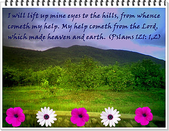 Psalms 121, earth, psalms, trees, nature, flowers, dusk HD wallpaper