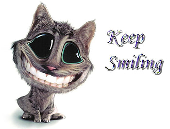 smile, animal, funny HD wallpaper