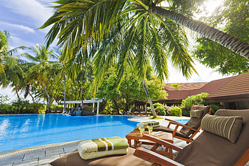 Nature, Palm, Furniture, Pool HD wallpaper