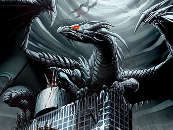 dragon, s, sd, ds, d HD wallpaper