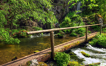 New Creek, creek, moss, trees, waterfall, nature, water, forest HD wallpaper