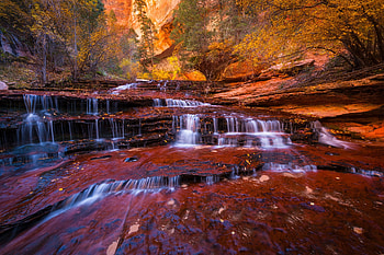Zion national park, Autumn, Stream, Trees, River, Foliage HD wallpaper