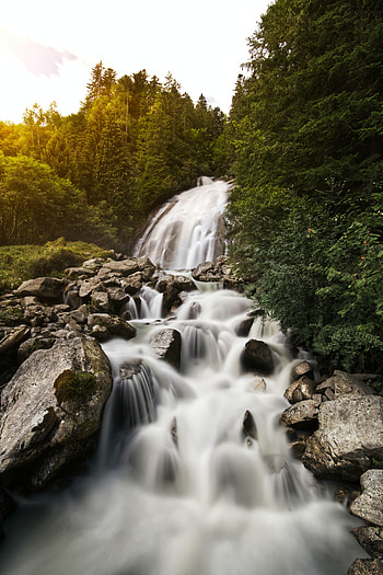 Nature, Water, Trees, Stones, Rocks, Waterfall, Flow, Stream HD phone wallpaper