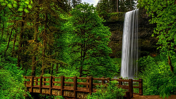 Waterfall in forest, Nature's cascade, Natural wonder, Refreshing oasis HD wallpaper