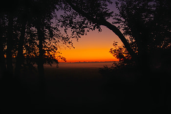 Sunset, silhouette, tree branch, tree, beautiful, nature HD wallpaper