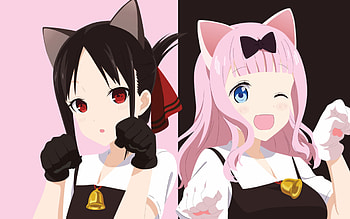 Kaguya sama love is war, anime girls , anime HD wallpaper