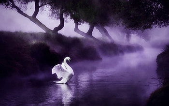 River, trees, purple, abstract HD wallpaper