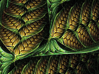 Seed Pod Fractal, pod, seed, fractal, green HD wallpaper