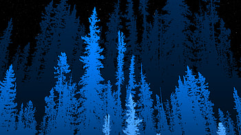Forest Long Blue Trees , forest, trees, artist, artwork, digital-art HD wallpaper