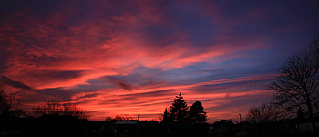 Trees, Sky, Twilight, Clouds, Dark, Dusk HD wallpaper