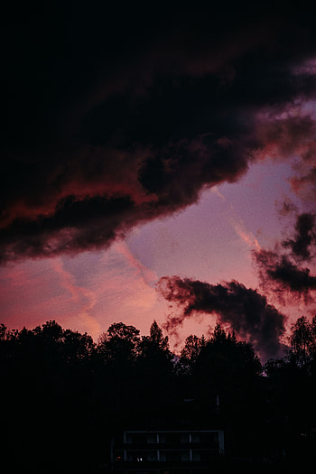 Trees, Twilight, Clouds, Dark, Dusk, Outlines HD phone wallpaper