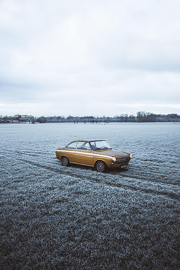 Cars, Car, Field, Old, Retro HD phone wallpaper