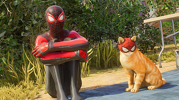 Miles and cat HD wallpaper