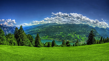 nature -14 HD wallpaper