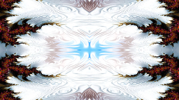 Trippy Psychedelic Fractal, trippy, psychedelic, aesthetic, white, Abstract, fractal HD wallpaper