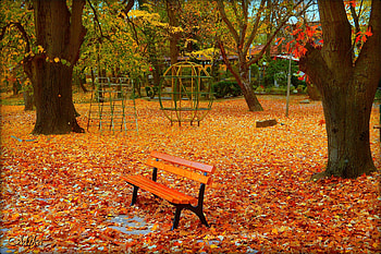 Autumn park, Park, Bench, Foliage, Fall HD wallpaper