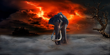 Fantasy, Art, Lightning, hop, Elephant HD wallpaper