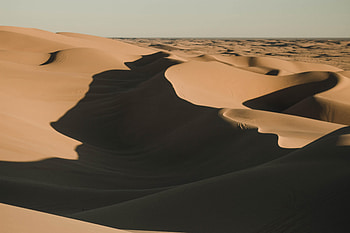 Nature, Sand, Desert, Shadows, Dunes HD wallpaper