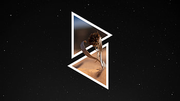 Desert Flower Dark Minimal , minimalism, minimalist, dark HD wallpaper