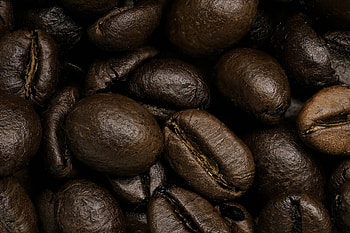 Coffee, Macro, Close-Up, Coffee Beans HD wallpaper
