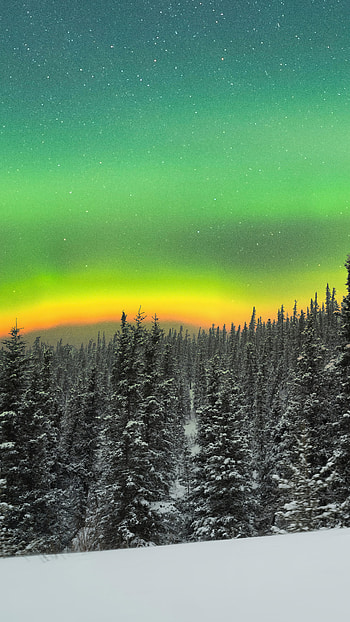 Orange aurora, Snowy forest, Sony Xperia X HD phone wallpaper