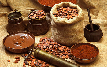 Cocoa , Top , Backgrounds HD wallpaper