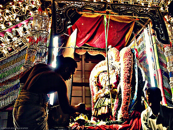 Hindu God, India, rituals, grapy, festival, Lord, night , Indian graphy, hindu, colourful, south India, idol HD wallpaper