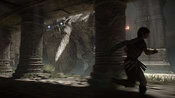 Shadow of the Colossus PS4 is out in 2018. The game is being developed by Bluepoint Studios while it will be published by Sony Interactive Entertainment. HD wallpaper