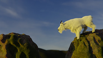 Mountain goat, Exciting project, Blender community, Artistic achievement HD wallpaper