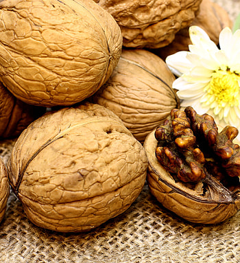 Nut bliss, Nutty treasures, Delightful bites, Wholesome goodness HD phone wallpaper