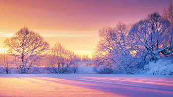 Snowy Morning at Dawn, misty, river, colors, landscape, trees, sky HD wallpaper