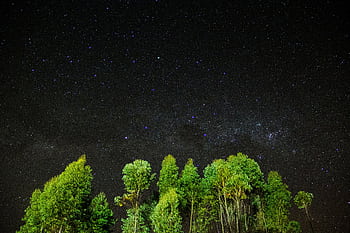 A stunning starry sky above a lush forest in Pedra Bela, Brazil. HD wallpaper