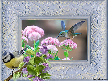 FLOWERS WITH BIRD, FLOWERS, FRAMED, , BIRD HD wallpaper