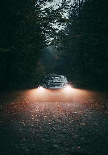 Cars, Lights, Forest, Fog, Car, Headlights HD phone wallpaper