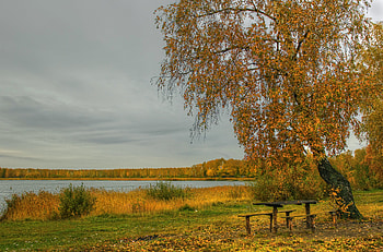 Nature, Rivers, Trees, Autumn, Table, Bench HD wallpaper