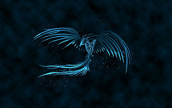 Blue Phoenix, wings, black, feather, bird, fantasy, luminos, dark HD wallpaper