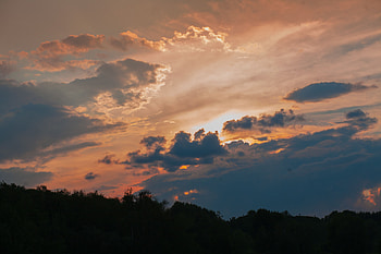 Nature, Trees, Sunset, Twilight, Clouds, Dusk HD wallpaper