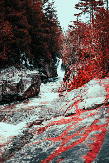 Nature, Water, Stones, Waterfall, Flow, Red Leaves HD phone wallpaper