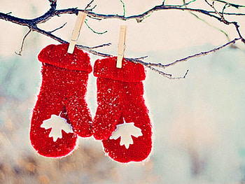 Canadian winter, winter, snow, Canada, Maple leaf, mitts HD wallpaper