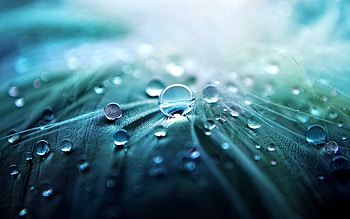 Drops, texture, close up HD wallpaper
