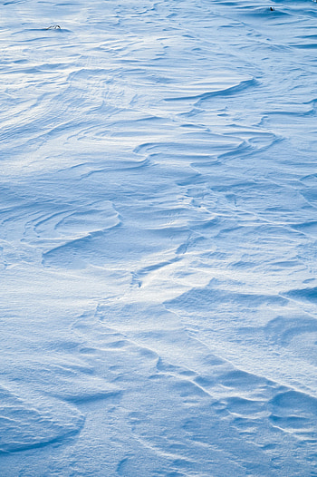 Winter, Nature, Snow, Surface HD phone wallpaper