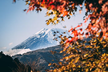 A serene view of Mount Fuji framed by vibrant autumn foliage under a clear blue sky. HD wallpaper