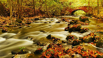 Forest stream in northern Germany, river, leaves, fall, colors, bridge, trees, rocks, stones, autumn HD wallpaper