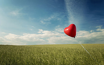 Grass, Love, Field, Balloon, Wind HD wallpaper