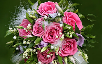 Plants, Flowers, Bouquets HD wallpaper