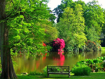 Place to Relax, beautiful HD wallpaper